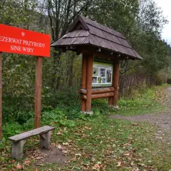 Czerwony znak "Rezerwat Przyrody Sine Wiry", drewniana wiata z informacjami, ławka i droga leśna.