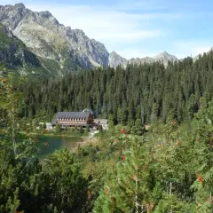 Malowniczy widok na przełęcz pod Osterwą z jeziorem, lasem świerkowym i skalistymi szczytami w tle.