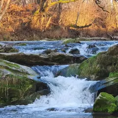 Wodospad na Olszance w Uhercach Mineralnych. Woda spływa po omszałych kamieniach, otoczona jesiennym lasem.