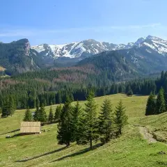 Zielona dolina z drewnianą chatką i lasem świerkowym, w tle ośnieżone szczyty Tatr. To jeden z najładniejszych szlaków w Tatrach.
