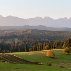 Widok na Tatry z Białki Tatrzańskiej. Złote słońce oświetla zielone pola i lasy, a w oddali majaczą góry.