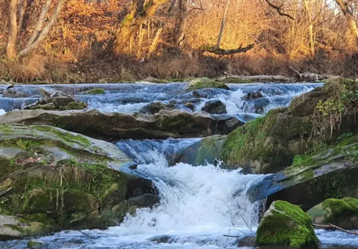 Wodospad na Olszance w Uhercach Mineralnych. Woda spływa po omszałych kamieniach, otoczona jesiennym lasem.