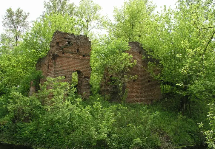 Zarośnięte zielenią ruiny dworku Stroińskich, z ceglanymi ścianami i pustymi otworami okiennymi, otoczone bujną roślinnością.