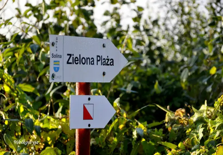 Droga do zielona plaza Wolkowyja. Strzałka kierunkowa wskazuje szlak.
