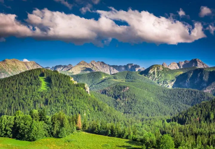 Piękne Tatry, idealne miejsce, gdzie w góry na wakacje w Polsce. Zielone lasy, skaliste szczyty i błękitne niebo.