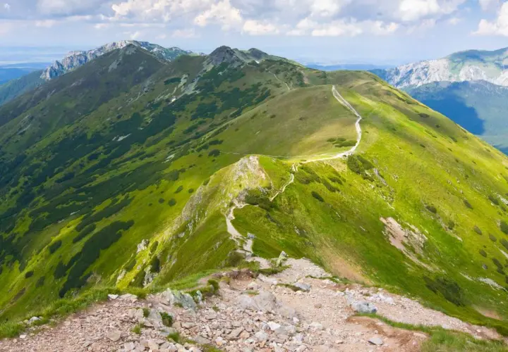Malowniczy szlak na Ornaka z Doliny Kościeliskiej, wijący się po zielonych zboczach Tatr Zachodnich.