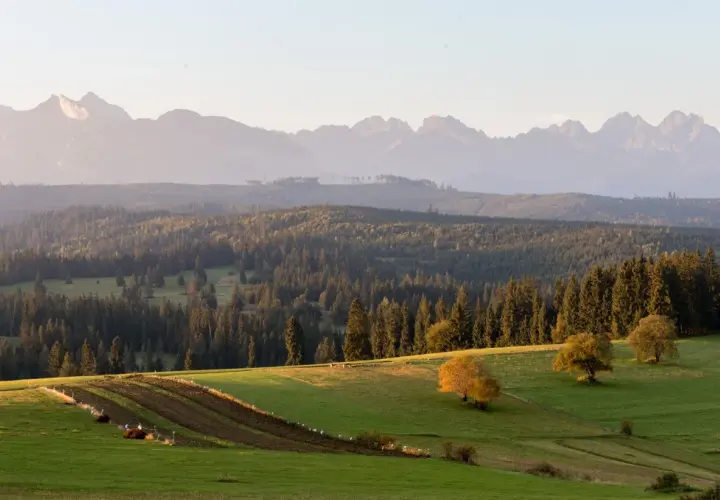 Widok na Tatry z Białki Tatrzańskiej. Złote słońce oświetla zielone pola i lasy, a w oddali majaczą góry.