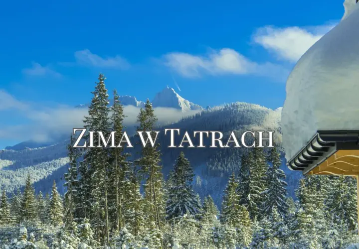 Zima w Tatrach dla średniozaawansowanych. Śnieżne szczyty, sosny i błękitne niebo tworzą idealny krajobraz na zimową wyprawę.