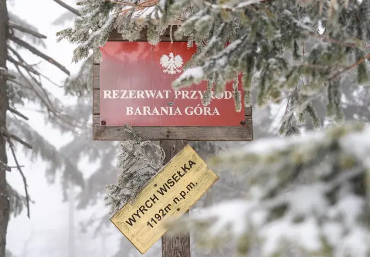 Gdzie jest Barania Góra? Odkryj jej lokalizację i atrakcje w okolicy