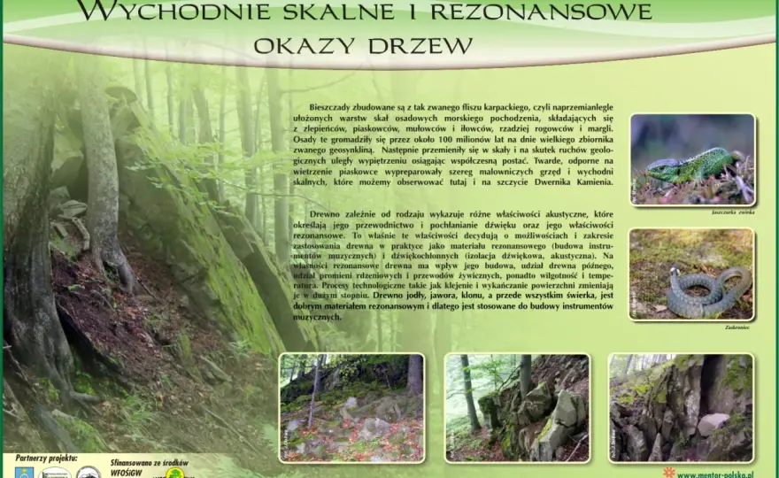 Ekomuzeum W Krainie Bojków: Odkryj zaginiony świat Bieszczadów