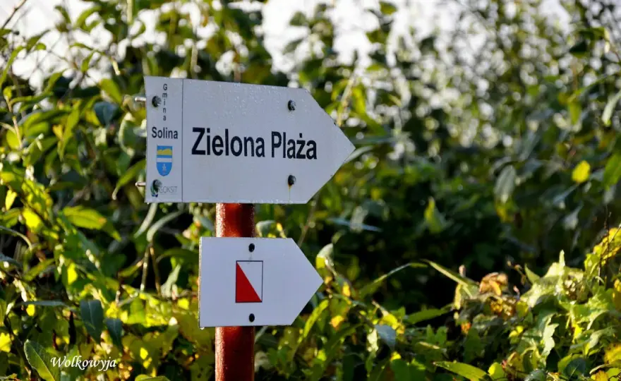 Zielona Plaża Wołkowyja: Spokój nad Soliną | Praktyczny Przewodnik