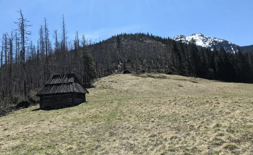 Polana Huty Lejowe: Spokojny szlak w Tatrach Zachodnich