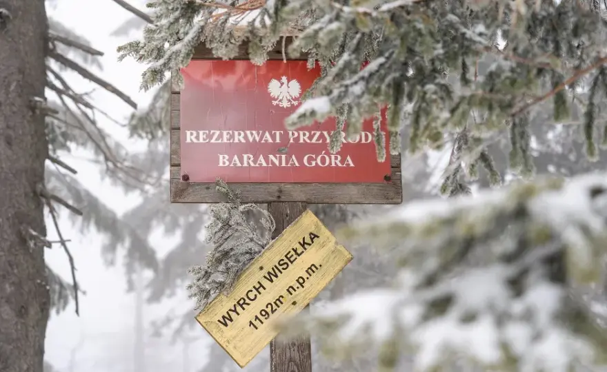 Gdzie jest Barania Góra? Odkryj jej lokalizację i atrakcje w okolicy