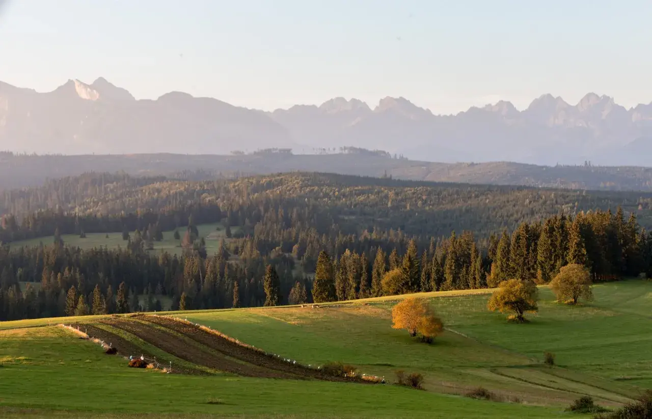 Widok na Tatry z Białki Tatrzańskiej. Złote słońce oświetla zielone pola i lasy, a w oddali majaczą góry.