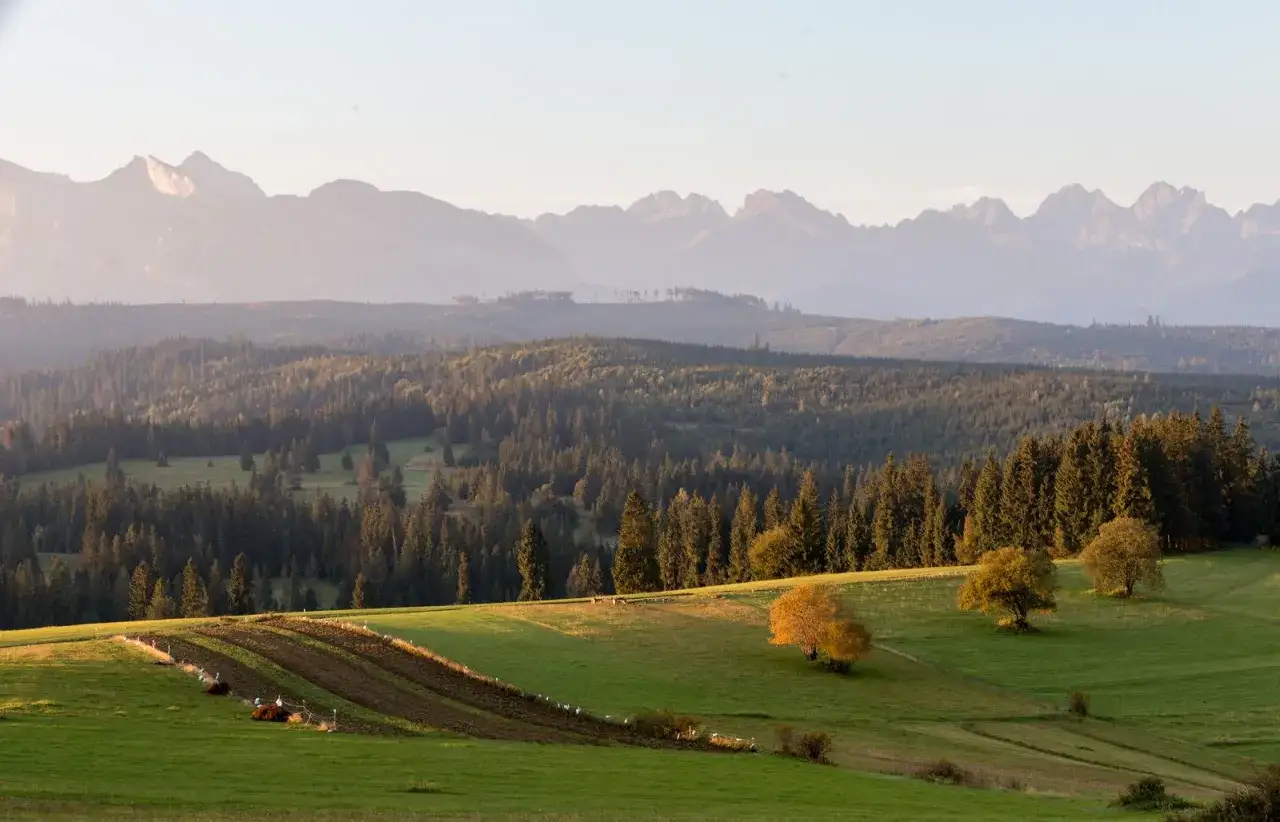 Widok na Tatry z Białki Tatrzańskiej. Złote słońce oświetla zielone pola i lasy, tworząc malowniczą panoramę.