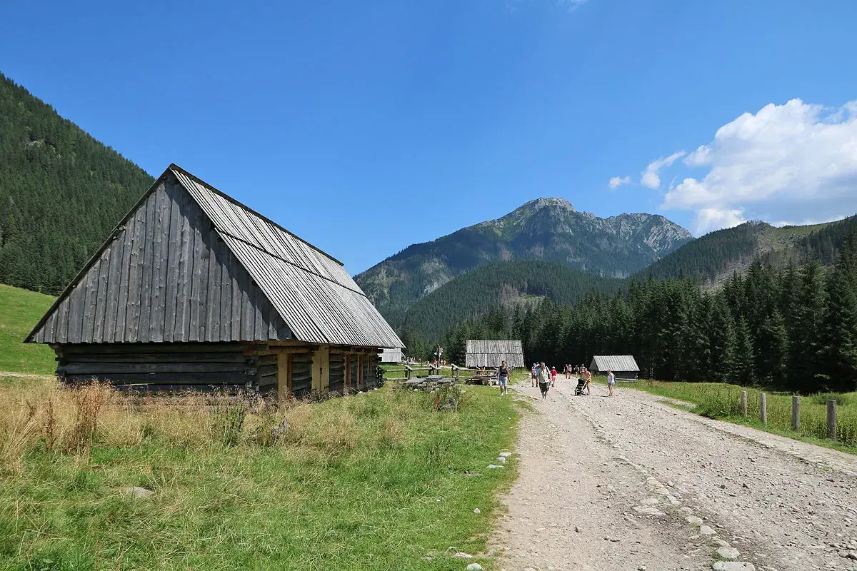Drewniane bacówki na siwej polanie w Zakopanem, w tle góry i las.