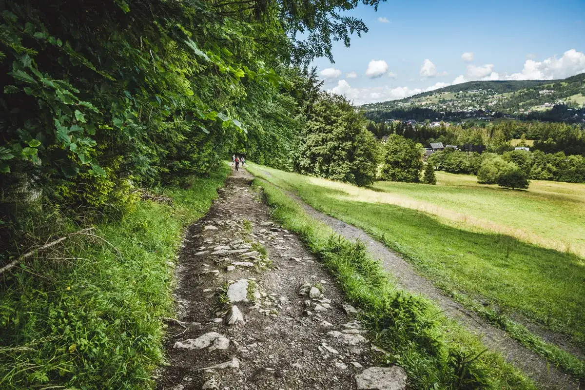 Kamienista droga pod reglami, początek leśnej ścieżki. W oddali widać zielone wzgórza i zabudowania.
