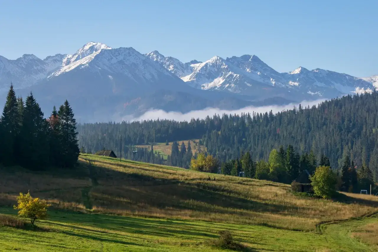 Łąka z widokiem na ośnieżone Tatry. Ścieżka w trawie prowadzi w górę, w stronę lasu i gór. To może być początek czarnego szlaku na Gubałówkę.