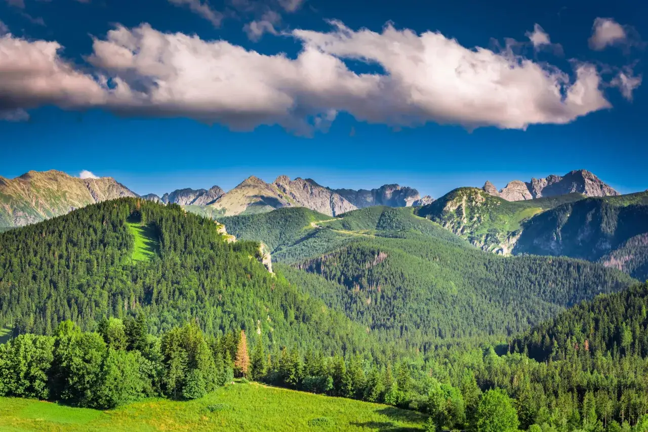 Piękne Tatry latem. Zielone lasy i skaliste szczyty, idealne miejsce, gdzie w góry w Polsce latem.