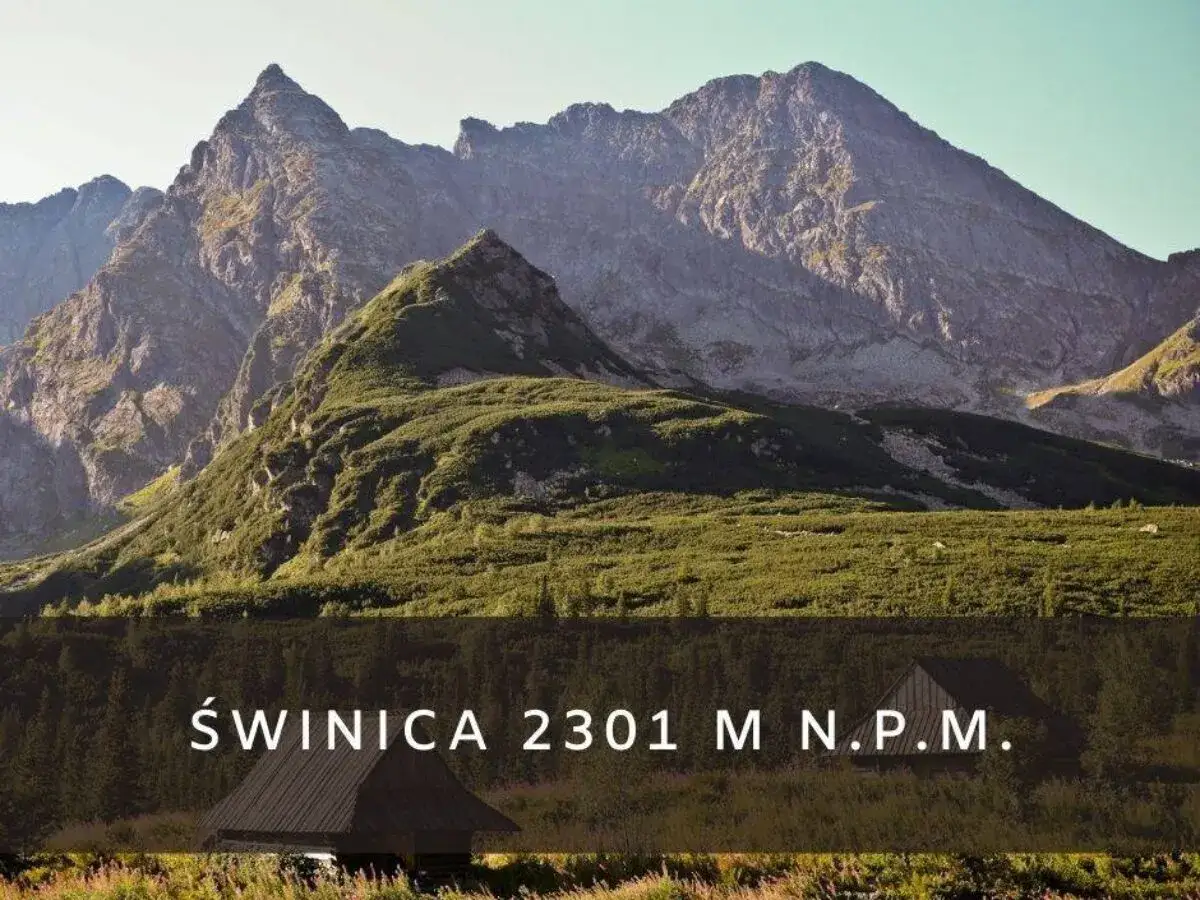 Majestatyczne szczyty Tatr, zielone zbocza i charakterystyczne schronisko. Widok na Świnicę 2301 m n.p.m. - może to najłatwiejszy szlak na Świnicę?