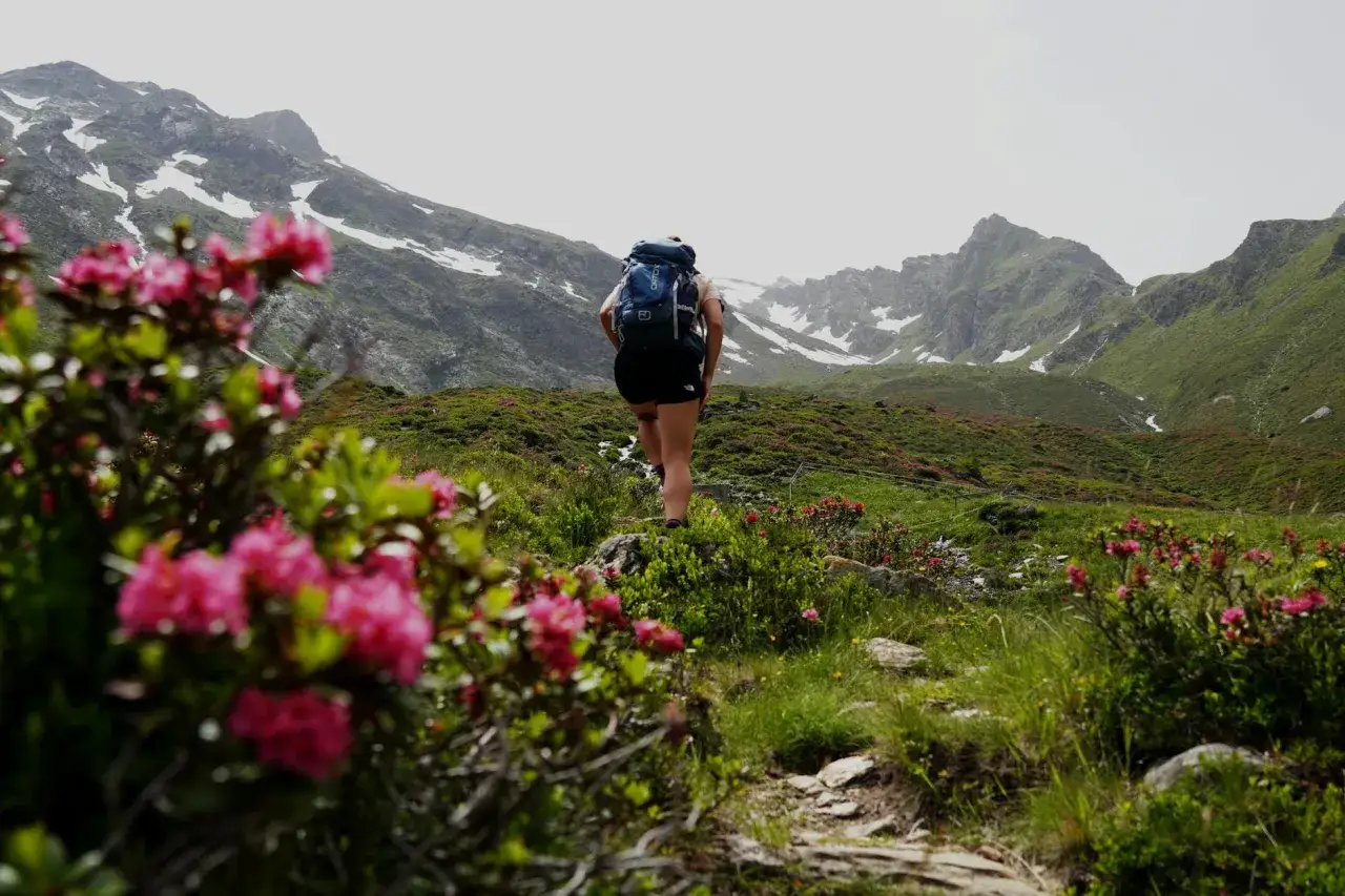 Kobieta z plecakiem wędruje pośród kwitnących rododendronów. W tle góry z resztkami śniegu. Idealne miejsce na wycieczki w Tatry.